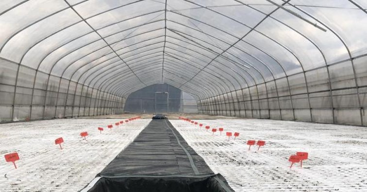 新消息！福建云霄卷烟厂卷烟品牌“移山倒海”