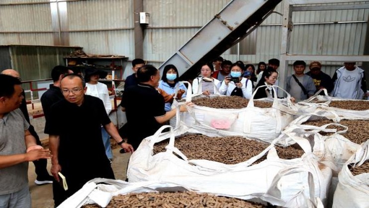 真龙(今世缘)香烟价格表2025 真龙(今世缘)图片及价格查询