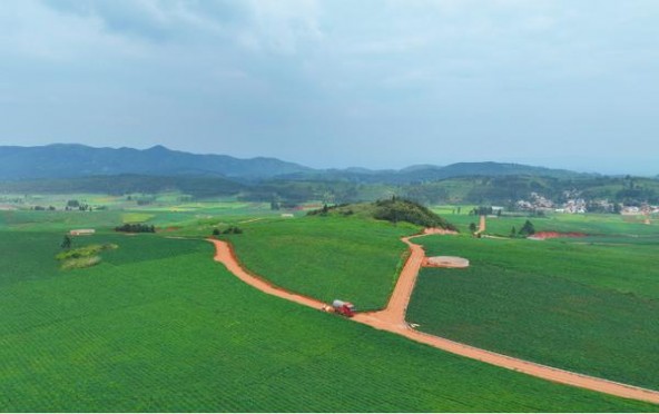 黄鹤楼(中海钓台硬绿)多少钱一包2025？黄鹤楼(中海钓台硬绿)香烟价格表2025 