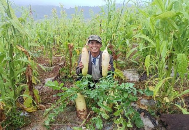 玉溪翡翠多少钱一盒2024？玉溪翡翠多少钱一盒2024？