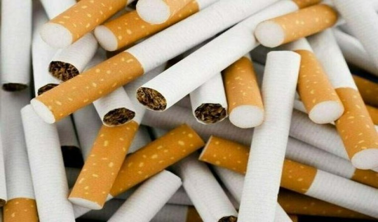 深入解析！红金龙硬晓楼 5mg香烟的批发奥秘