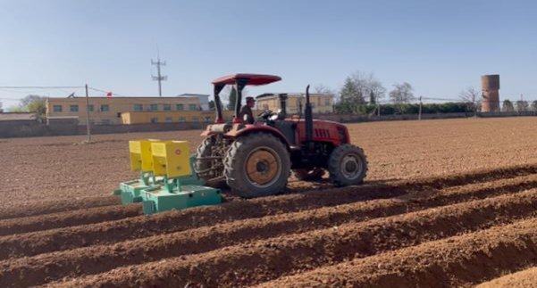 人参硬绿价格表图一览表 人参硬绿多少钱一包2024？