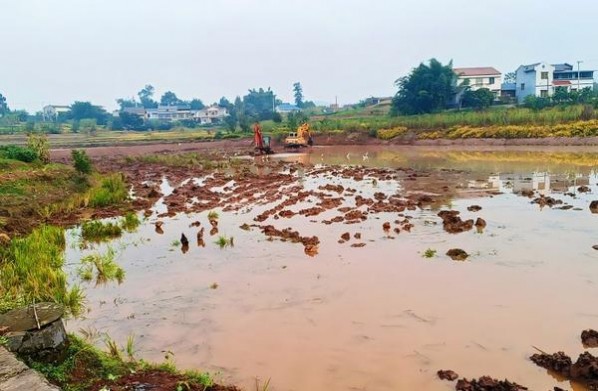 红双喜南洋(12mg)香烟价格 红双喜南洋(12mg)价格表和图片 