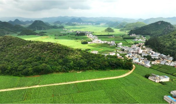 登喜路蓝中免价格表一览 登喜路蓝中免多少钱一包2024？