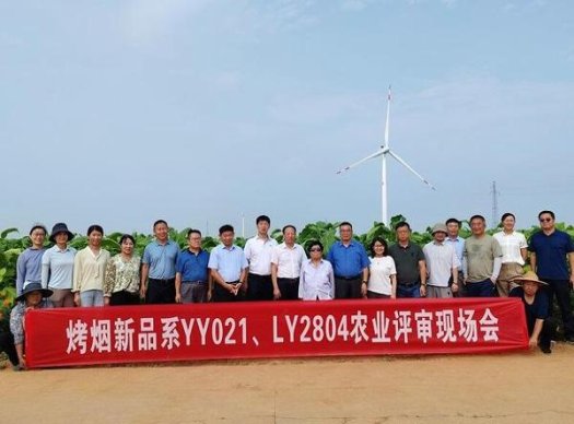 重点通报！香烟一手批发“一唱一和”