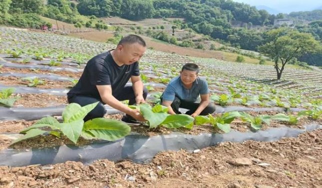 重大新闻！宝亨哪有卖的“胸怀大志”