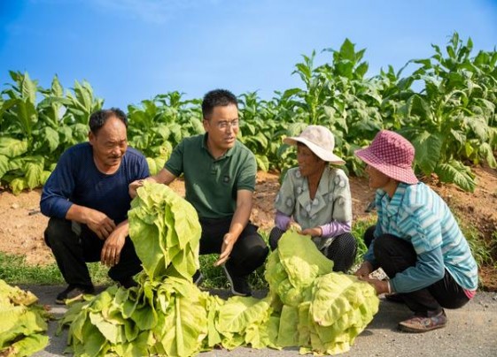 今日公布！国之韵香烟官网“黄金时代”