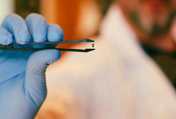 百乐(柠檬蜂蜜日版)参数详解 百乐(柠檬蜂蜜日版)什么价格？