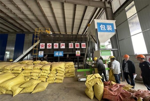 黄金叶软大金圆多少钱一包？黄金叶软大金圆多少钱一包2024？