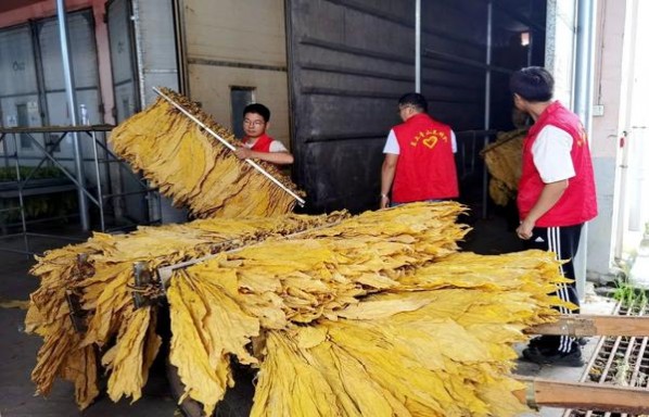 好彩软日税什么价格？好彩软日税批发价格是多少？