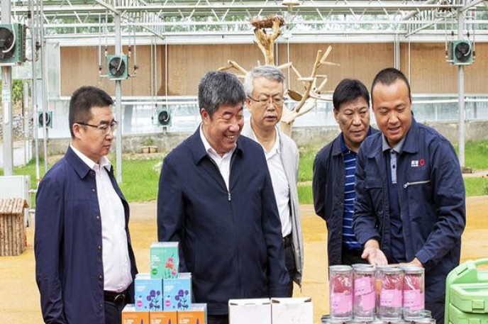 铁塔猫(奶油爆珠)价格表一览 铁塔猫(奶油爆珠)价格表图一览表 