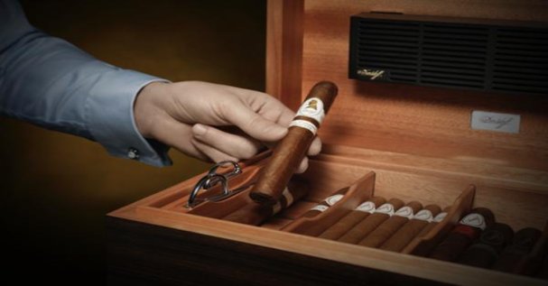 黄鹤楼游泳批发价格是多少？黄鹤楼游泳多少钱一包？