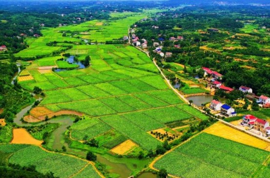 新石家庄红石2代价格表一览 新石家庄红石2代价格表和图片