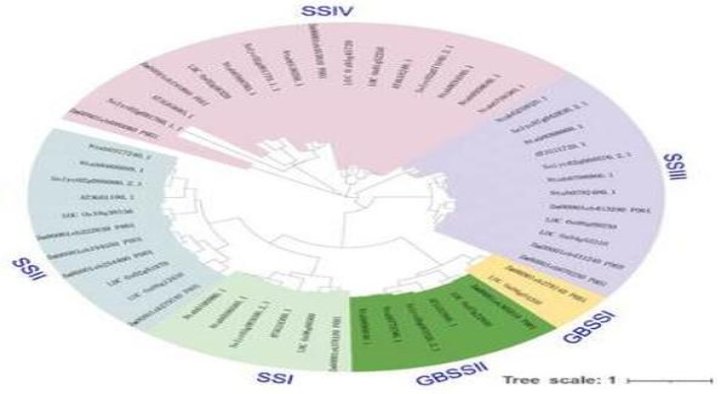 米兰(黑侧推)拿货价格，米兰(黑侧推)价格查询