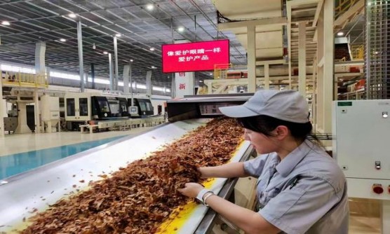 重大来袭！潮汕香烟标“绵里藏针”