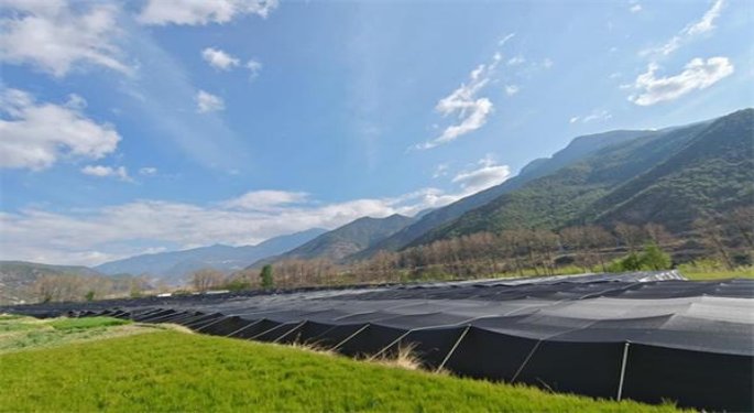 芙蓉王荣耀细支多少钱一包？芙蓉王荣耀细支多少钱一盒？