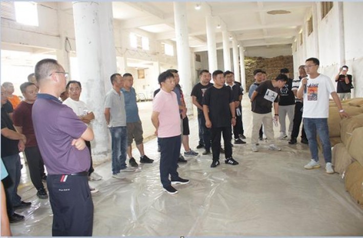 桫椤(红)图片及价格查询桫椤(红)多少钱一包2025？