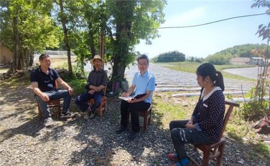 白金鹿细支价格查询 白金鹿细支批发价格是多少？