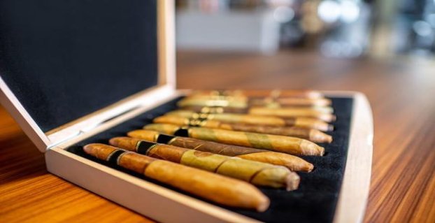 泰山战神2号批发价格是多少？泰山战神2号价钱批发 