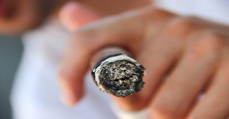 牡丹(魏紫)厂家批发，牡丹(魏紫)价格表一览