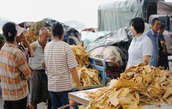 头条！全国统一订烟系统官网“不足为奇”