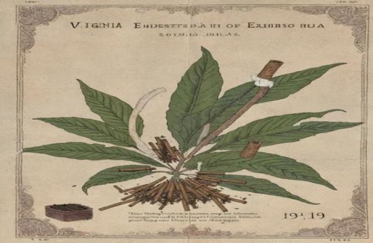 和平日本无嘴输出版价格表和图片和平日本无嘴输出版批发价格是多少？