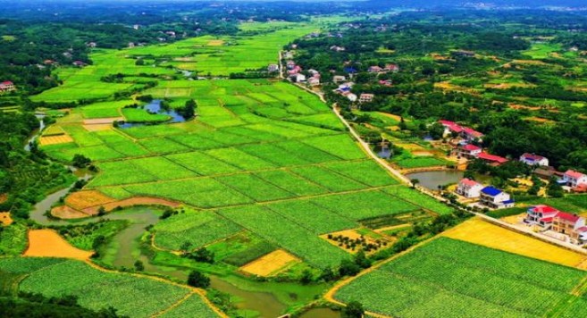 云烟(细支祥瑞84mm)多少钱一包2025？云烟(细支祥瑞84mm)香烟价格表2025 