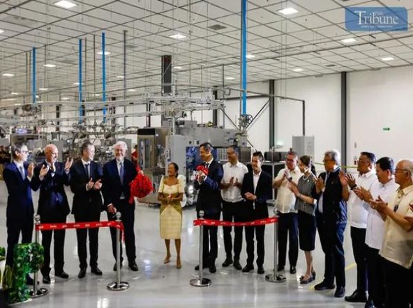 七星软14mg日税版价格表一览 七星软14mg日税版多少钱一盒2024？