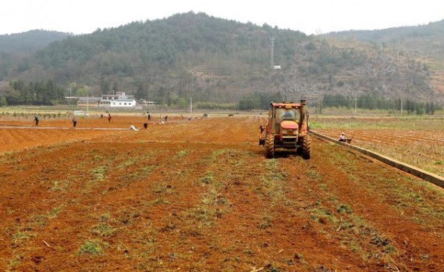 万宝路(Gold Lights印度尼西亚版)香烟价格表2025 万宝路(Gold Lights印度尼西亚版)香烟正品价格表 