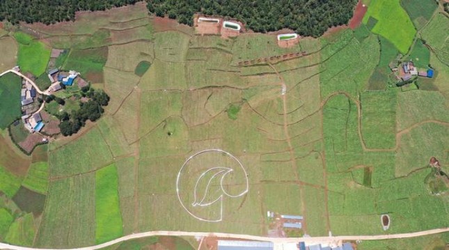 独家报道！香烟批发全网最低价“自愧弗如”