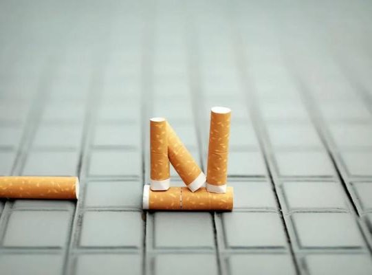 黄鹤楼迷你冰爽什么价格？黄鹤楼迷你冰爽价格表一览 