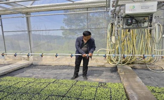 吉利原味价格表图一览表 吉利原味多少钱一盒？