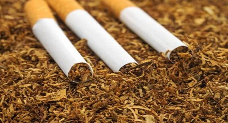 好猫(千年帝都)价格表和图片 好猫(千年帝都)多少钱一盒？