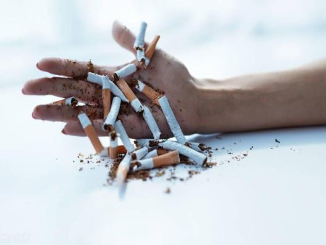 黄鹤楼硬1916小蜜蜂香烟价格表2024 黄鹤楼硬1916小蜜蜂价格查询 