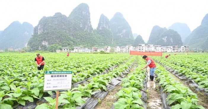 重大新闻！国烟一手货源“凤毛麟角”