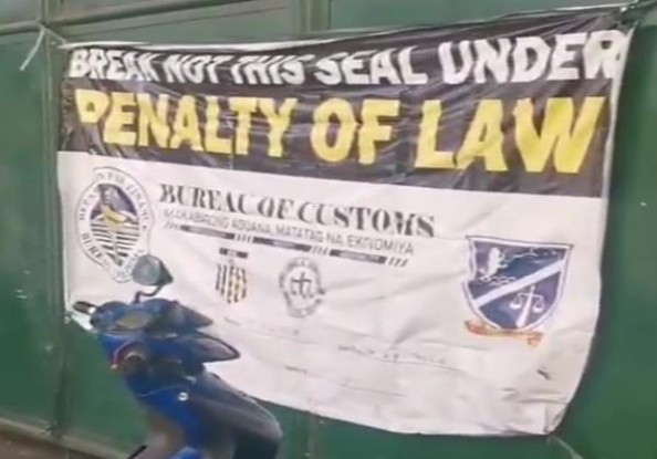 红杉树(精品)图片及价格 红杉树(精品)多少钱一盒？