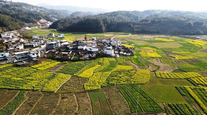 狮牌(谜你3号)价格表和图片 狮牌(谜你3号)什么价格？