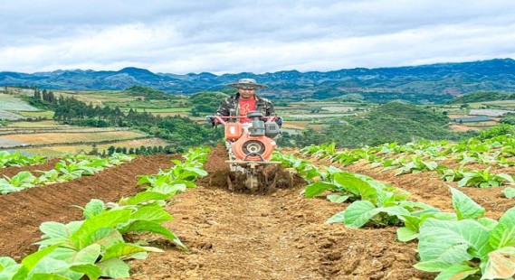 爱喜(超细低焦油)价格查询 爱喜(超细低焦油)多少钱一盒？