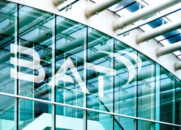 红塔山峰中支香烟价格表2024 红塔山峰中支多少钱一盒2024？