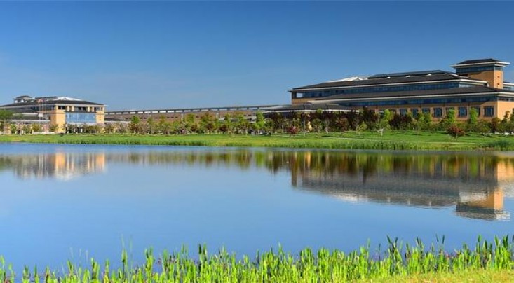 520(水蜜桃爆珠)一手价格，520(水蜜桃爆珠)价格表和图片