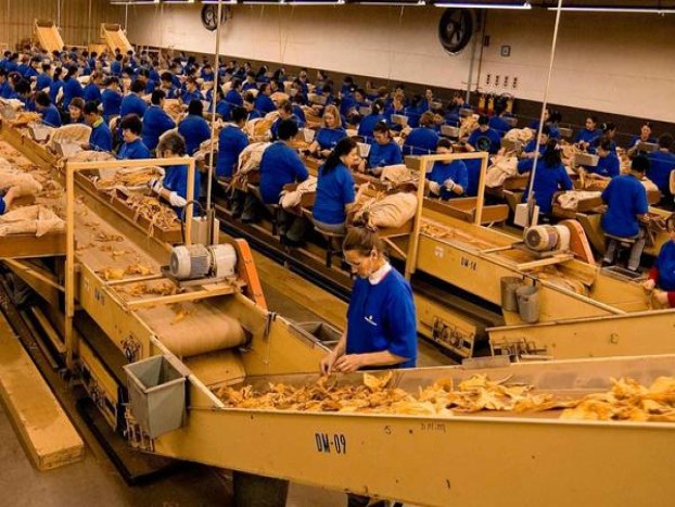 云烟(印象烟庄)多少钱一盒2025？云烟(印象烟庄)价格查询 