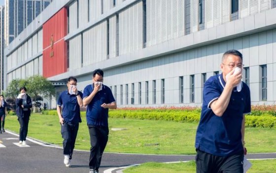 五牛软红价格表图一览表 五牛软红价格查询 