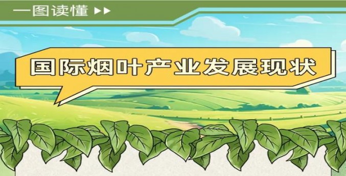 重大来袭！香烟微商一手货源香烟“引咎自责”