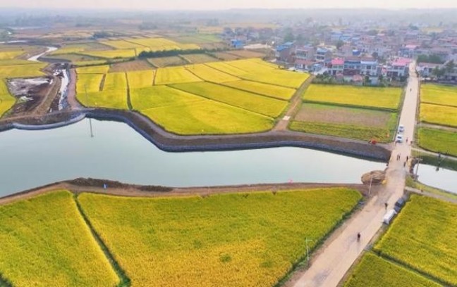 宽窄(2号)香烟价格表2025 宽窄(2号)价格表一览 