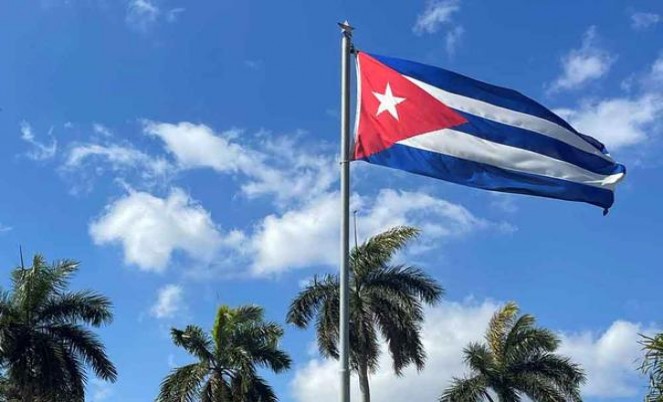 真龙(太子)批发价格是多少？真龙(太子)香烟价格 