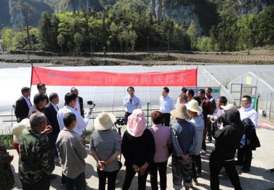 利群休闲银细支什么价格？利群休闲银细支多少钱一包？