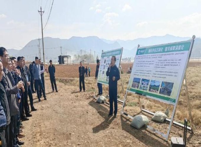 冬虫夏草黄金盛世多少钱一包？冬虫夏草黄金盛世多少钱一盒2024？