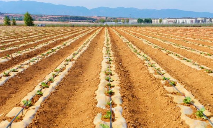 万宝路(冰蓝澳门含税版)图片及价格 万宝路(冰蓝澳门含税版)多少钱一盒？