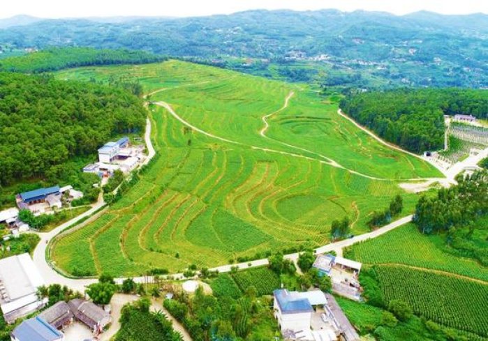 新消息！香烟厂家直销一手货源质量靠谱“来踪去迹”