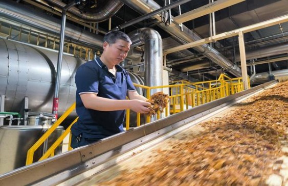 真龙经典红多少钱一盒？真龙经典红香烟价格表2024 